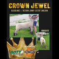 Crown Jewel