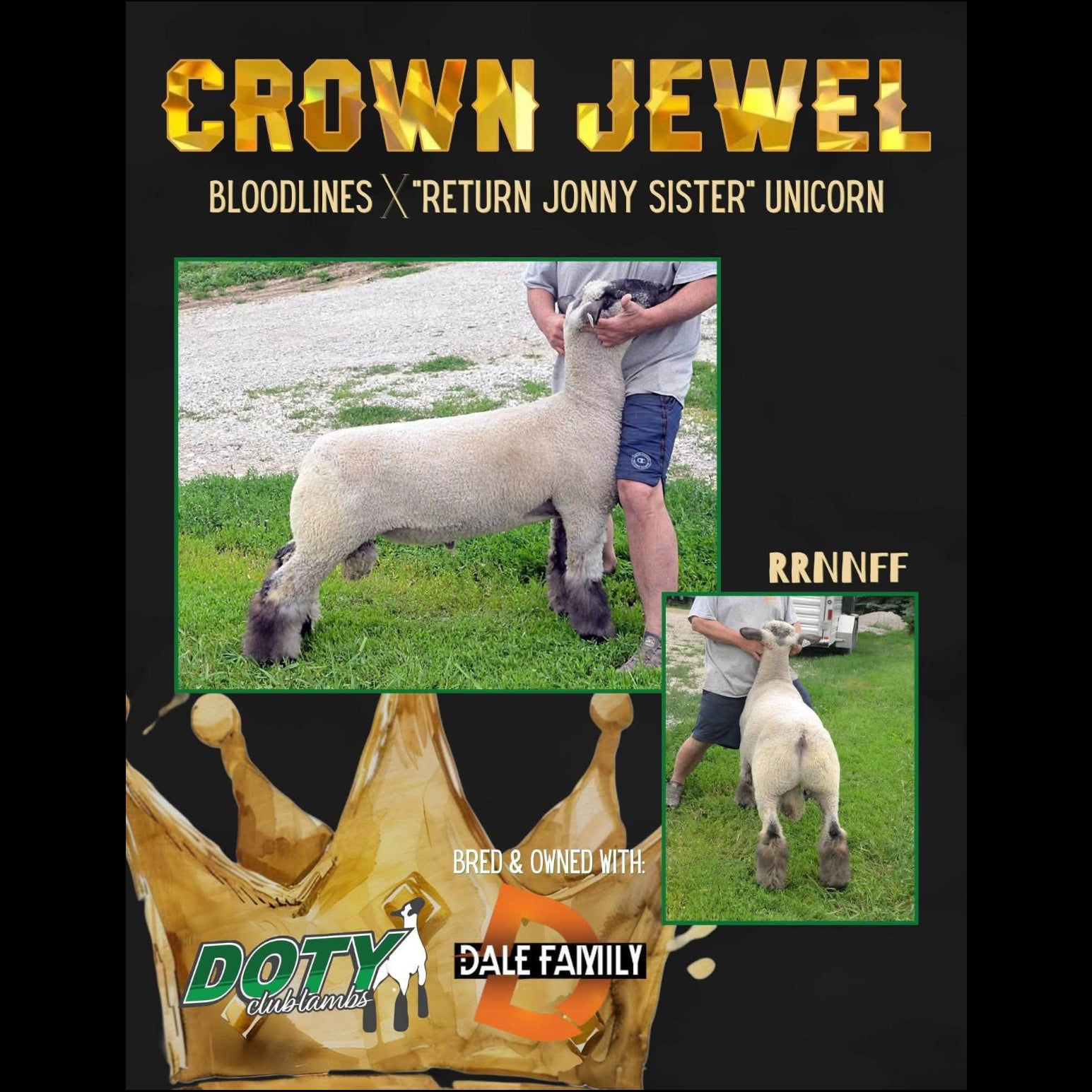 Crown Jewel