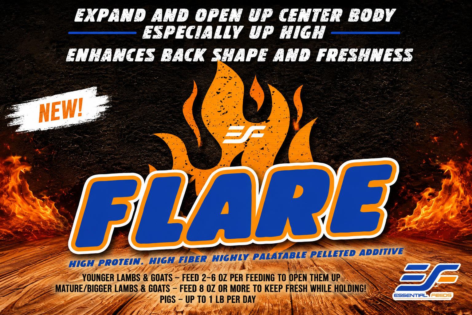 Flare (FREE SHIPPING)