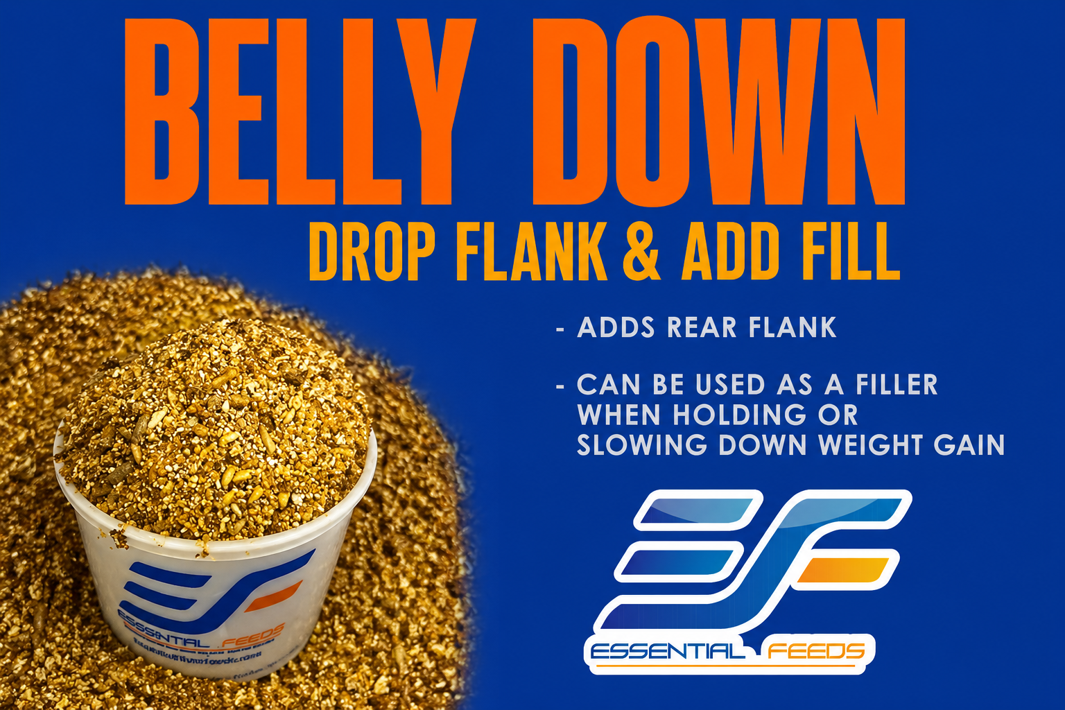Belly Down (FREE SHIPPING)