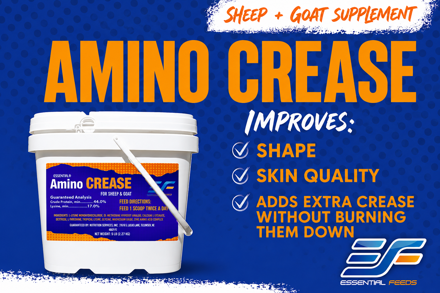Amino Crease (FREE SHIPPING)
